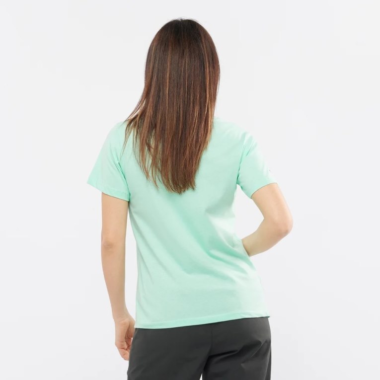 Salomon Outlife Big Logo Short Sleeve Women's T-Shirts Mint | CA 15N37